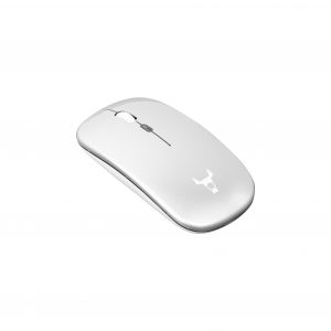 DSC09034 Taurus Wireless Mouse